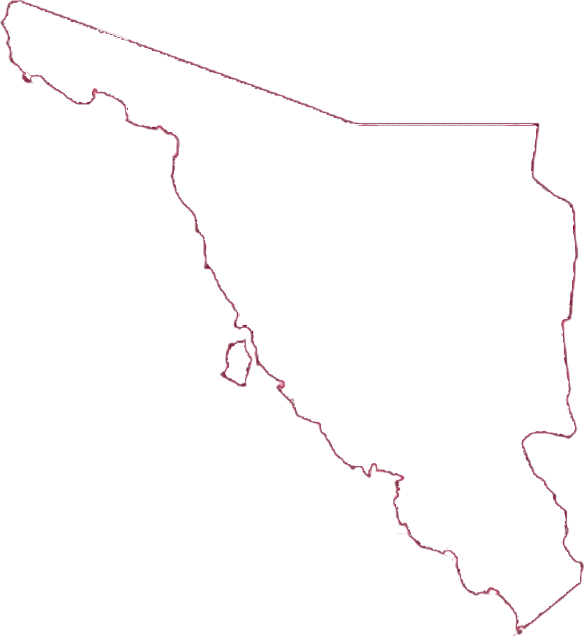 Sonora